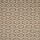 Stanton Carpet: Tompkins Platinum